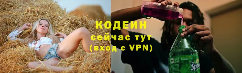 купить   Новомичуринск  ссылка на мегу ссылки  Кодеиновый сироп Lean напиток Lean (лин) 