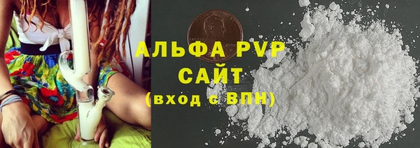 дживик Новозыбков