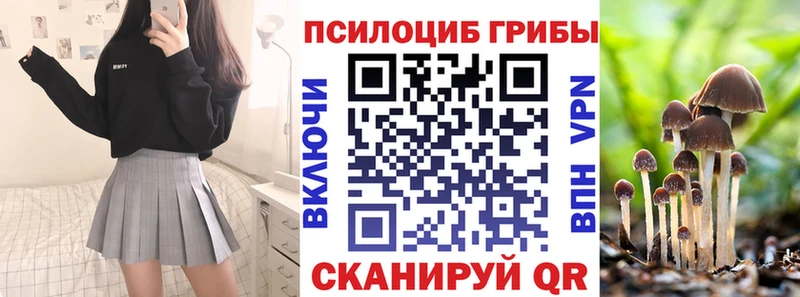 Псилоцибиновые грибы прущие грибы MEGA зеркало Новомичуринск